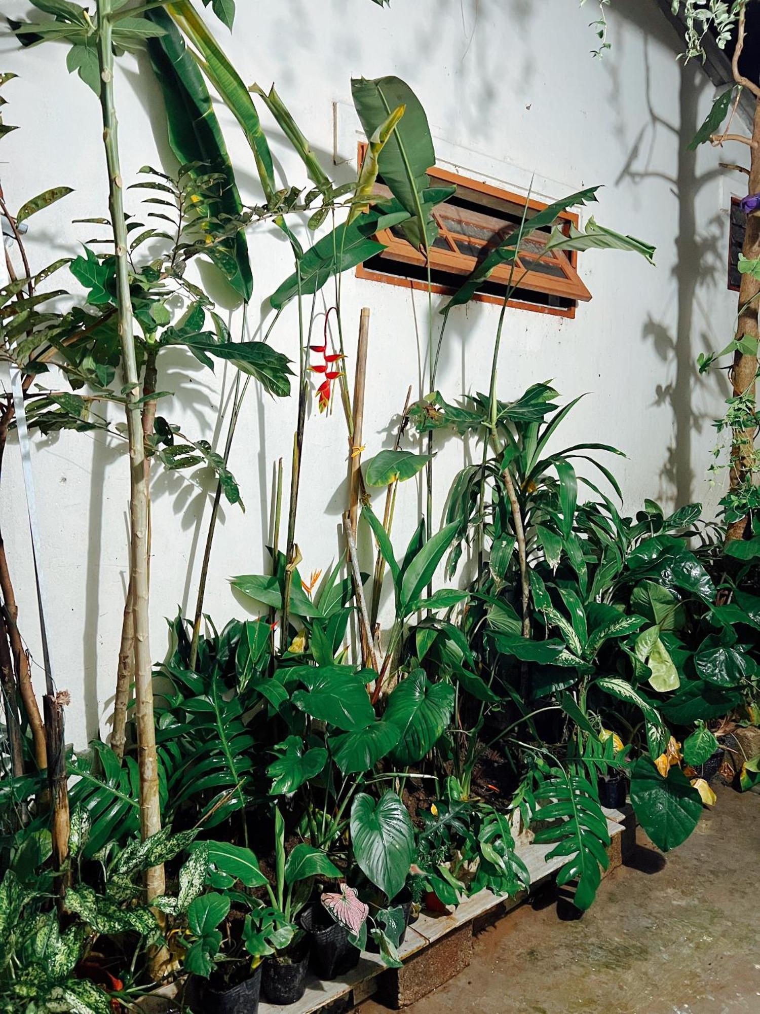 The Hue Homestay Bagian luar foto