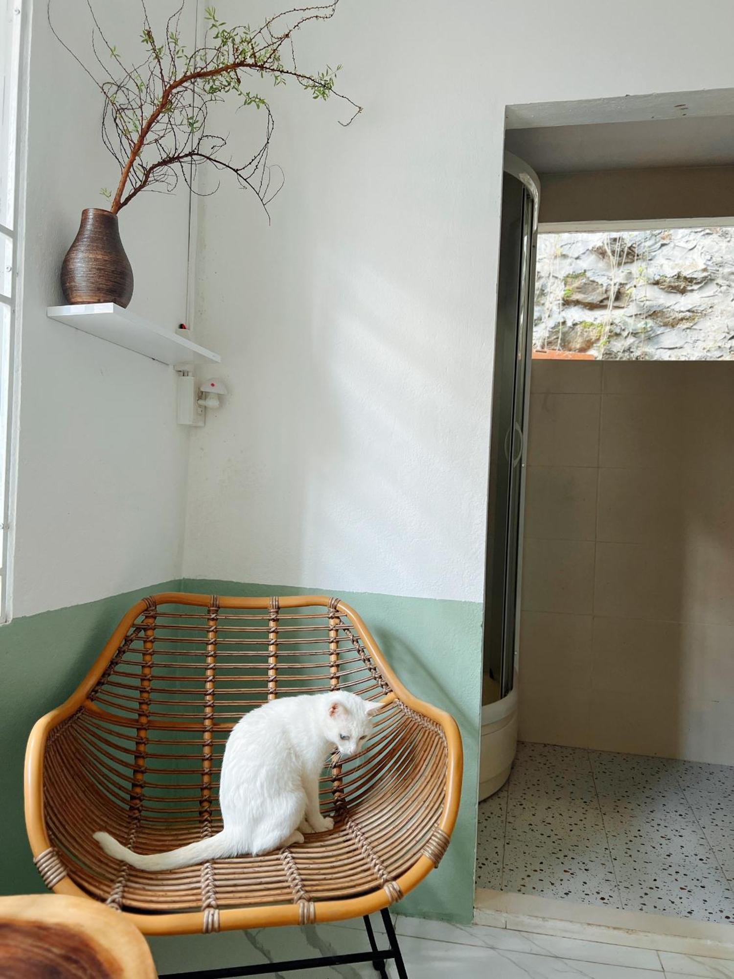 The Hue Homestay Bagian luar foto